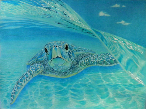 HONU BABY BLUE