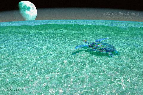 FLY ME TO THE MOON