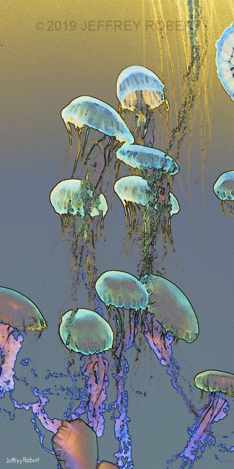 SEA_JELLIES.JPG?v=1547492991
