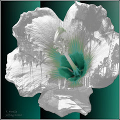 Art Of Hawaii