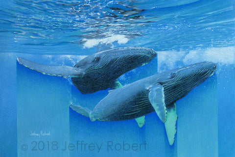NA KOHOLA (Hawaiian Humpback Whales)
