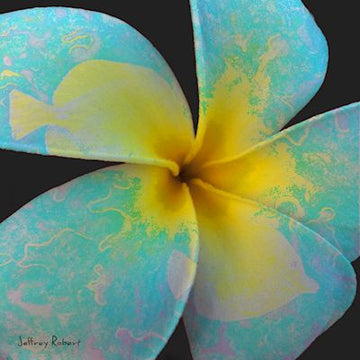 YELLOW TANG PLUMERIA Crayon Collectible
